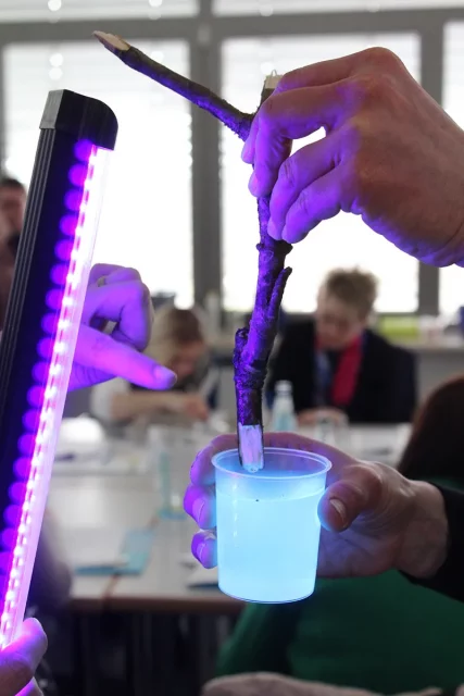 Becher mit hellblauer Flüssigkeit, über diesem ein Stock in einer Hand, beides wird mit lila Licht bestrahlt