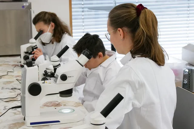 drei junge Menschen in Laborkitteln mikroskopieren