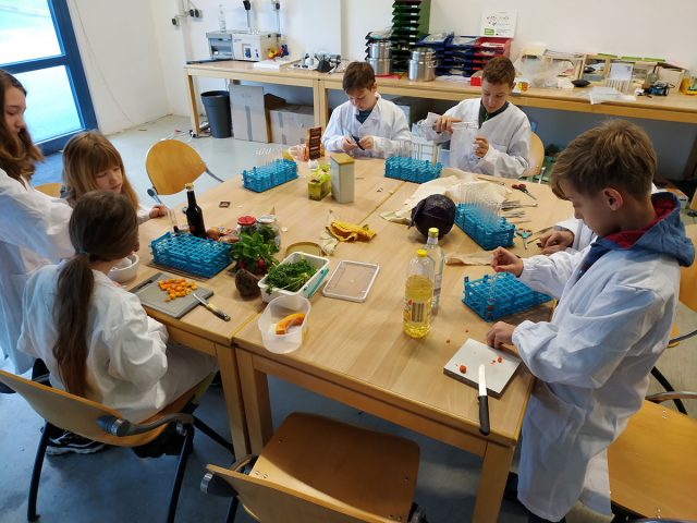 junge Menschen in Laborkitteln schneiden Gemüse und füllen dies in Reagenzgläser