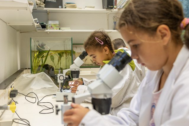 Kinder arbeiten im Labor mit Mikroskopen