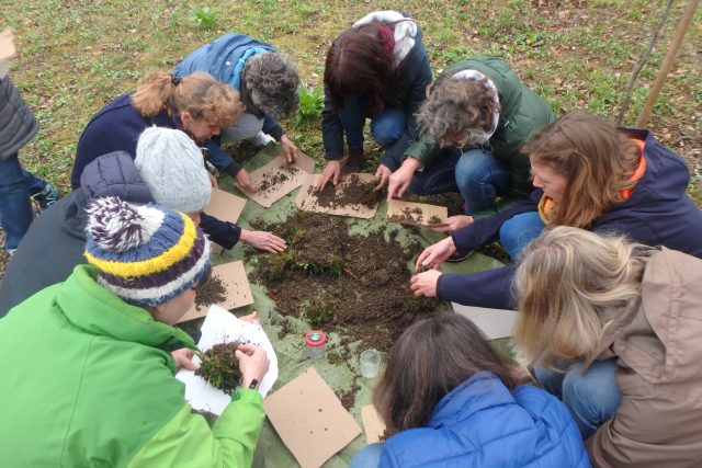 Gruppe untersucht Waldboden im Freien.
