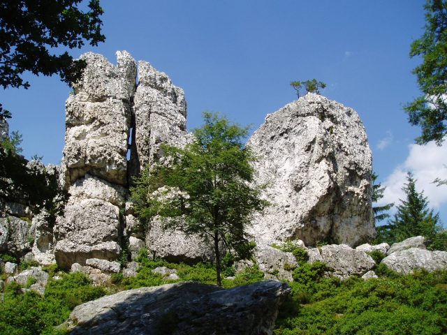 Felsen und Bäume in einer grünen Landschaft