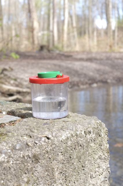 Glas mit Wasser am Flussufer auf einem Felsen