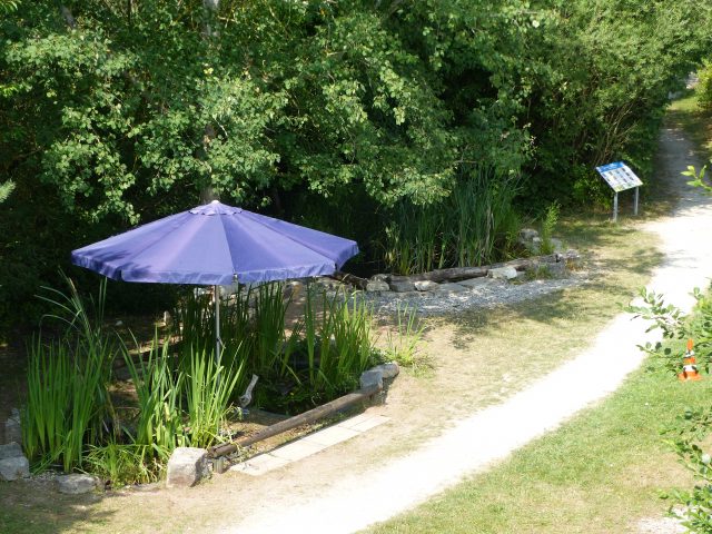 Blaue Sonnenschirme neben einem Teich im Grünen