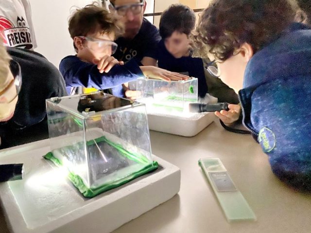 Schüler führen ein Experiment durch.