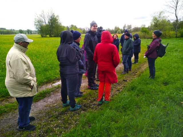 Gruppe von Menschen wandert im Regen über einen Feldweg