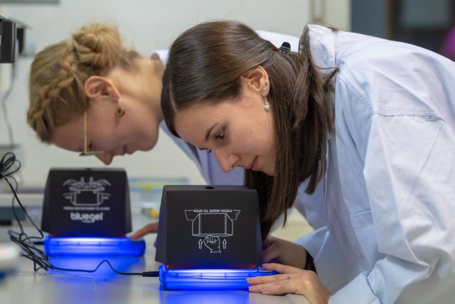Zwei junge Frauen stehen an einem Labortisch und schauen in ein Mikroskop.