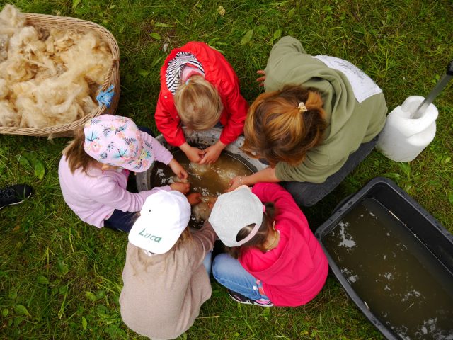 Kinder knien im Gras und betrachten Wolle im Wasser