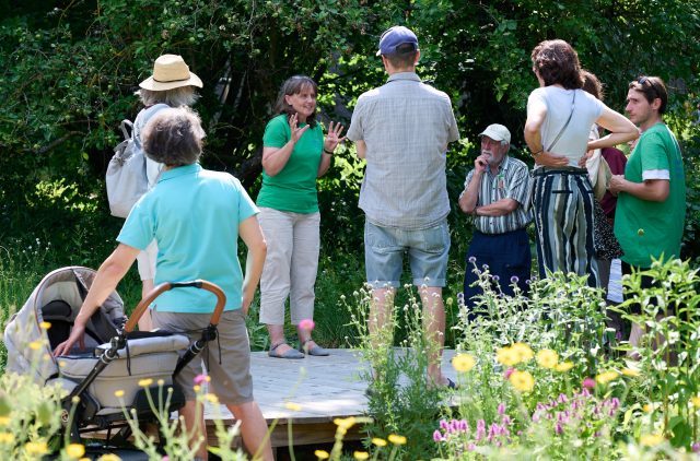 Menschen führen ein Gespräch in einem Garten.