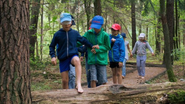 Kinder balancieren im Wald
