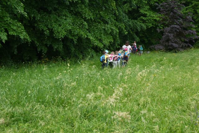 Kindergruppe spaziert durch die Natur.