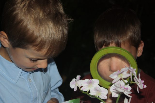 Ein Kind untersucht eine Blume mit einer Lupe.