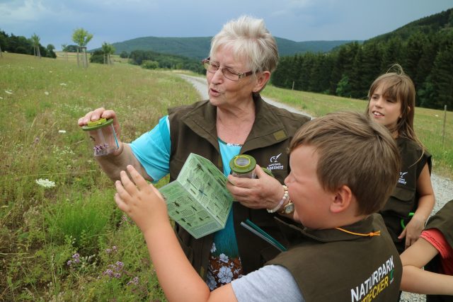 Personen sammeln Insekten auf einer Wiese.
