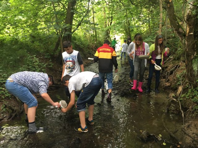 Kinder spielen in einem Waldbach