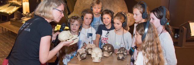 Kinder betrachten Schädel in einem Museum.