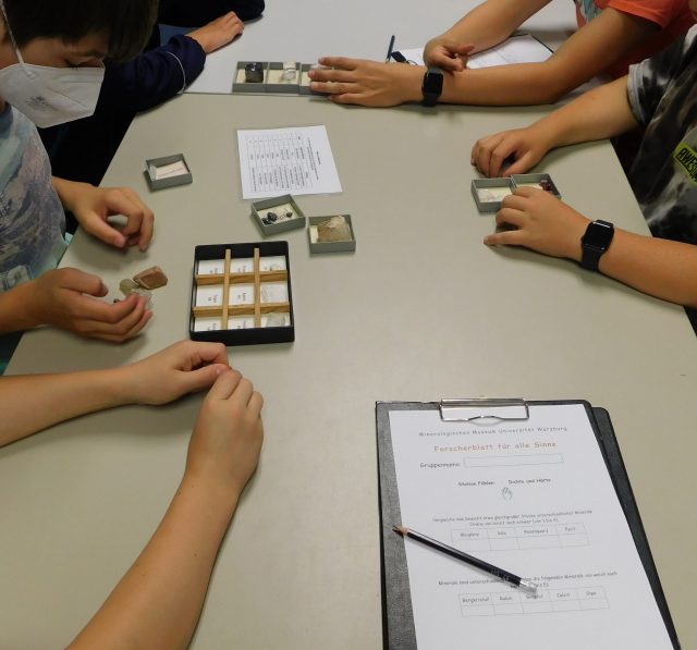 Schüler erforschen Steine und Fossilien