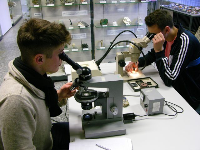 Wissenschaftler arbeiten im Labor.